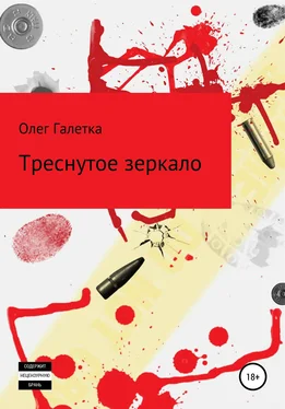 Олег Галетка Треснутое зеркало обложка книги
