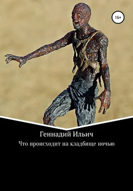 Геннадий Ильич Что происходит на кладбище ночью обложка книги