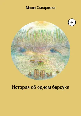 Маша Скворцова История об одном барсуке обложка книги