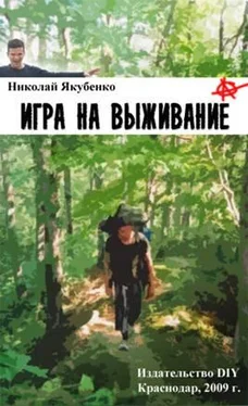 Николай Якубенко Игра на выживание. Острие Иглы. обложка книги