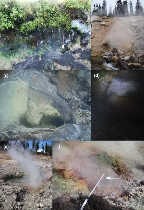 Figure 12 Steam deposit sampling sites a Nonsulfur steam cave site Hawaii - фото 4