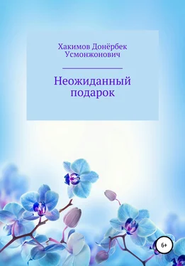 Донёрбек Хакимов Неожиданный подарок обложка книги