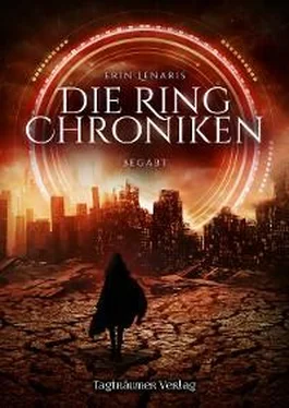 Erin Lenaris Die Ring Chroniken 1 обложка книги