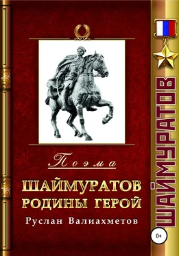 Руслан Валиахметов Шаймуратов – Родины Герой обложка книги