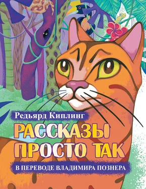 Редьярд Джозеф Киплинг Рассказы просто так (сборник) обложка книги