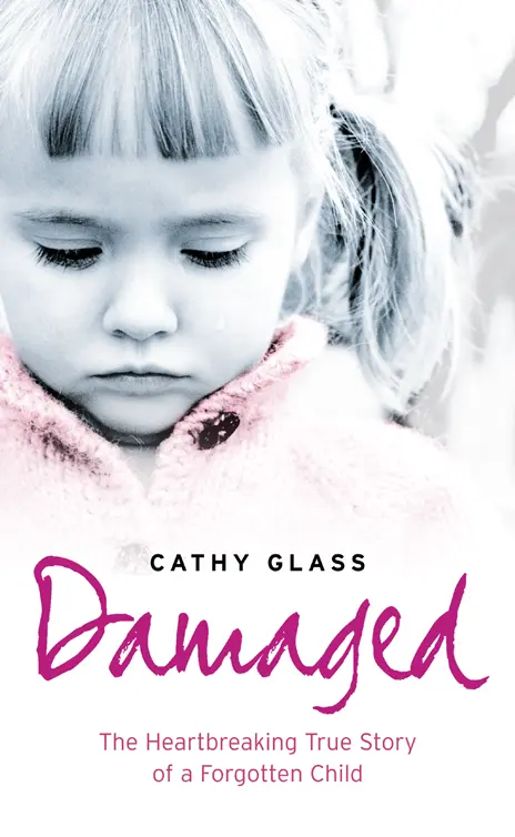 Cathy Glass Damaged The Heartbreaking True Story of a Broken Child - фото 3