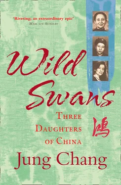 Jung Chang Wild Swans обложка книги