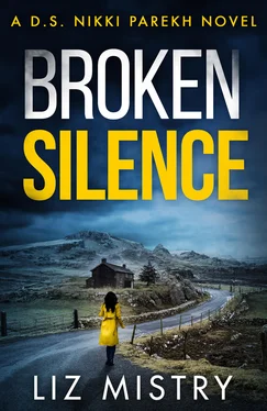 Liz Mistry Broken Silence обложка книги