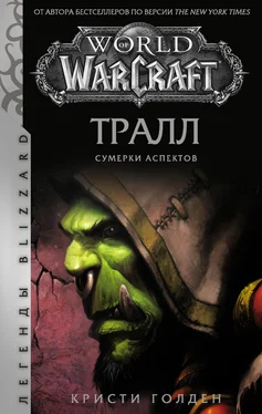 Кристи Голден World of Warcraft: Тралл. Сумерки Аспектов обложка книги