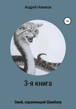 Андрей Новиков 3-я книга. Змей, охраняющий Шамбалу обложка книги