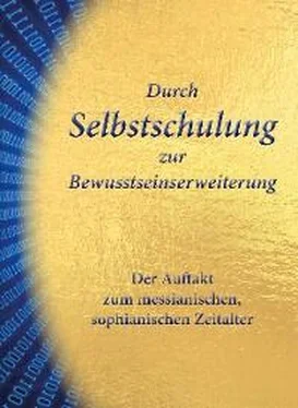 Gert Hetzel Durch Selbstschulung zur Bewusstseinserweiterung обложка книги