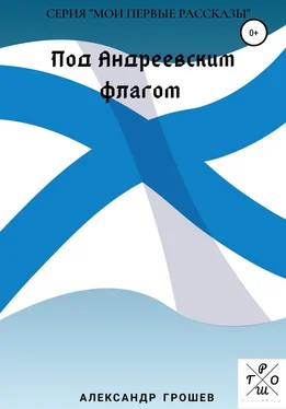 Александр Грошев Под Андреевским флагом обложка книги