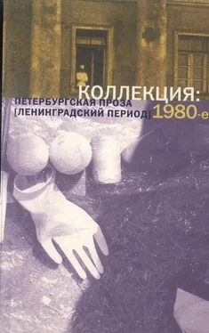 Игорь Адамацкий Коллекция: Петербургская проза (ленинградский период). 1980-е обложка книги