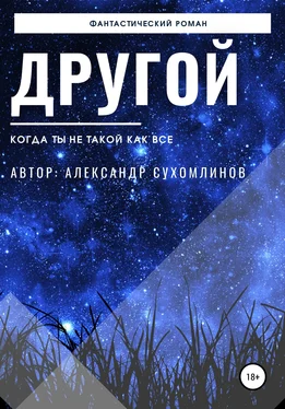 Александр Сухомлинов Другой обложка книги