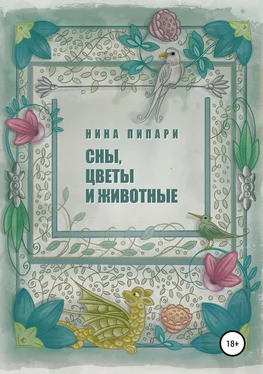 Нина Пипари Сны, цветы и животные обложка книги