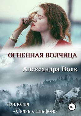 Александра Волк Огненная волчица обложка книги