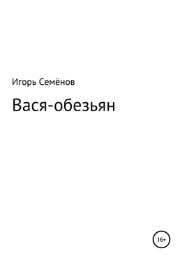 Игорь Семёнов Вася-обезьян обложка книги