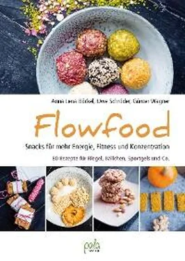 Uwe Schroder Flowfood обложка книги