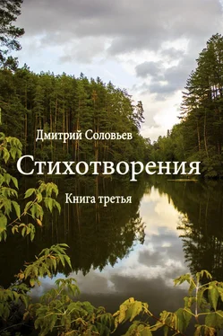 Дмитрий Соловьев Стихотворения. Книга третья обложка книги