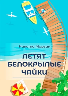 Никита Марзан Летят белокрылые чайки