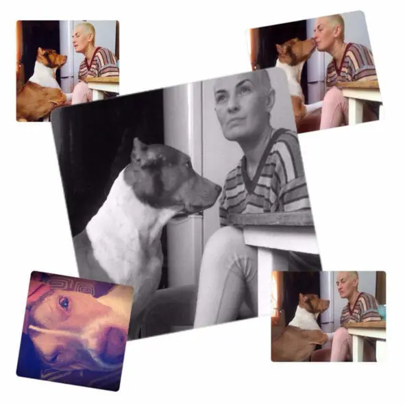 ПОЭТ ВСЕГДА ДОЛЖЕН БЫТЬ НА ПОДОЗРЕНИИ Жан Кокто НЕ ПОНИМАЙТЕ МЕНЯ СЛИШКОМ - фото 2