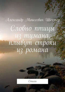 Александр Шехтер Словно птицы из тумана, плывут строки из романа. Стихи обложка книги