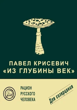 Павел Крисевич Из глубины век обложка книги