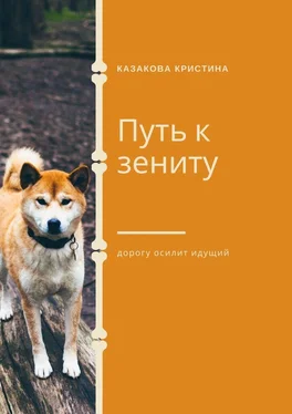 Кристина Казакова Путь к зениту обложка книги