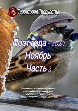 Валентина Спирина Поэт года – 2020. Ноябрь. Часть 2. Первая литературная онлайн-премия по версии группы Территория Творчества обложка книги