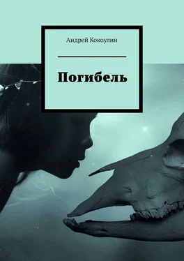 Андрей Кокоулин Погибель обложка книги