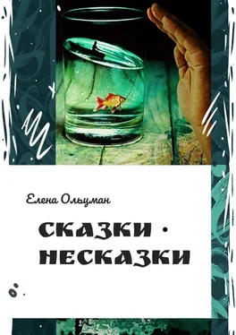 Елена Ольцман Сказки-несказки обложка книги