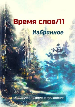 Эльвира Шабаева Избранное. Время слов/11 обложка книги