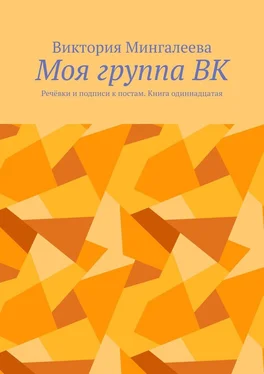 Виктория Мингалеева Моя группа ВК. Речёвки и подписи к постам. Книга одиннадцатая обложка книги