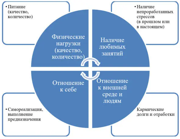 Набор этих звеньев очень индивидуален и очень многообразен Таких звеньев - фото 3