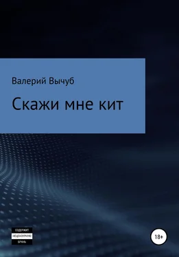 Валерий Вычуб Скажи мне кит обложка книги