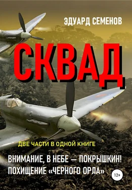 Эдуард Семенов СКВАД обложка книги