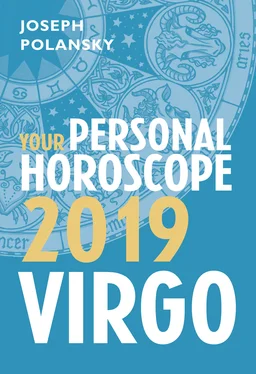 Joseph Polansky Virgo 2019: Your Personal Horoscope обложка книги