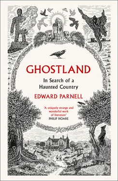 Edward Parnell Ghostland обложка книги