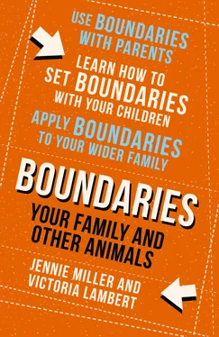 Jennie Miller Boundaries обложка книги