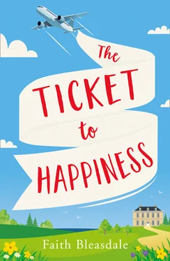 Faith Bleasdale The Ticket to Happiness обложка книги