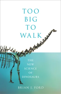 Brian J. Ford Too Big to Walk обложка книги