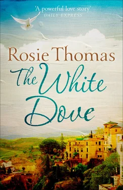 Rosie Thomas The White Dove обложка книги