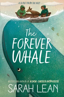 Sarah Lean The Forever Whale обложка книги