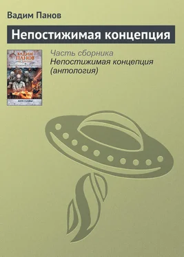 Вадим Панов Непостижимая концепция обложка книги