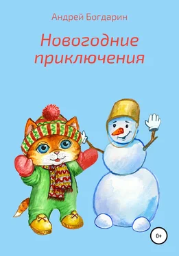 Андрей Богдарин Новогодние приключения