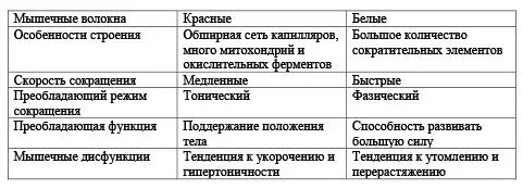 Режимы мышечного сокращения Мышцы могут работать в разных режимах в режиме - фото 8