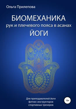 Ольга Прилепова Биомеханика рук и плечевого пояса в асанах йоги обложка книги
