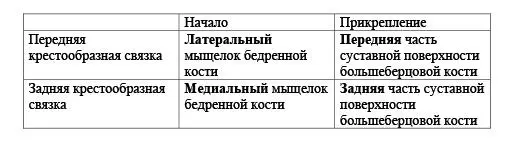 Коленный сустав укреплен также внесуставными связками которые находятся поверх - фото 21