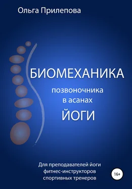 Ольга Прилепова Биомеханика позвоночника в асанах йоги обложка книги