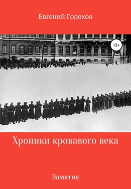 Евгений Горохов Хроника кровавого века: Замятня обложка книги